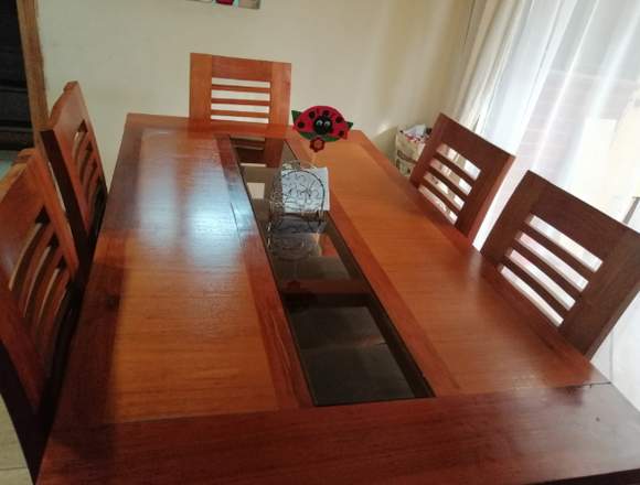 Comedor 6 sillas de Raulí en Santiago (Comuna)