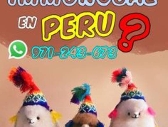 IMMUNOCAL PERU TELF971-243-673 en San Juan de Miraflores (Lima 29) (Distrito)