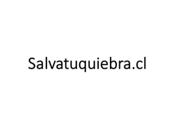 Consultoría On Line Empresas y Emprendedores en Santiago (Comuna)