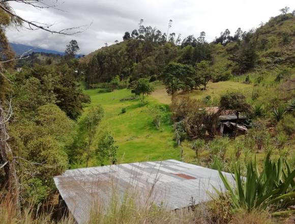 Se vende finca Guateque Boyaca en Guateque (Municipio)