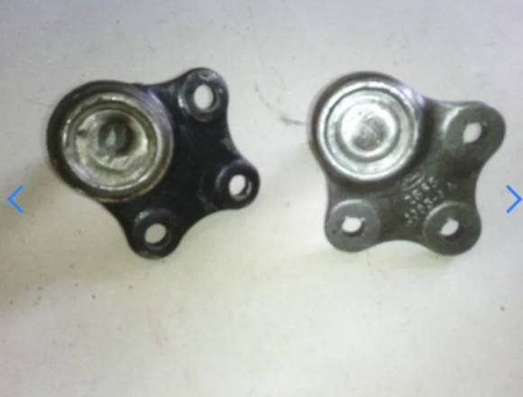 EN VENTA Muñones de Fiesta Power en Simón Bolívar (Municipio)