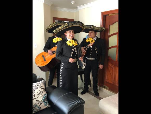 Serenata con mariachis en Quitumbe en Quito (Cantón)
