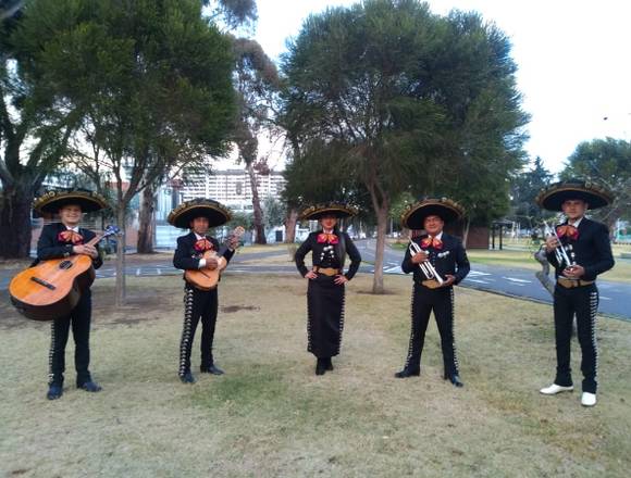 0995287562"" mariachis en pomasqui en Quito (Cantón)