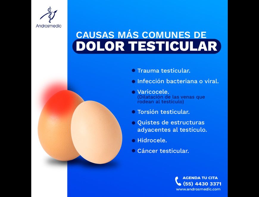 ¿Tienes dolor testicular?