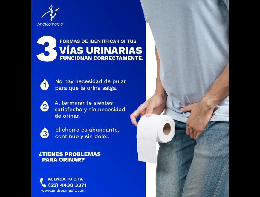 Infecciones del tracto urinario