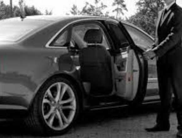 Chofer Particular. Tienes coche y conductor