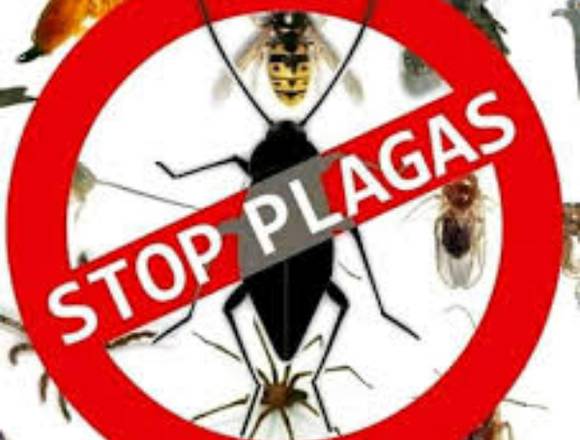 control de plagas servicios de fumigacion