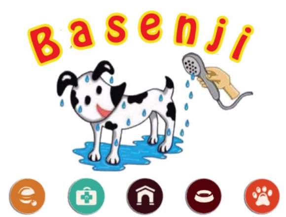 Estética Canina y Felina Basenji en Puebla (Municipio)