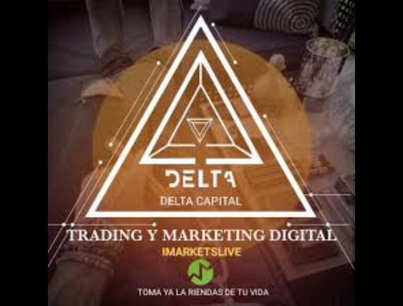 TRADING AND MARKETING DIGITAL en Empalme (Cantón)