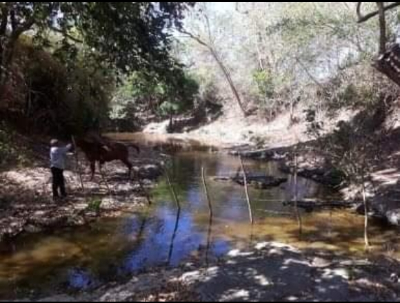 Venta Finca de 79 mz en San juan del Sur-Rivas en Rivas (Municipio)