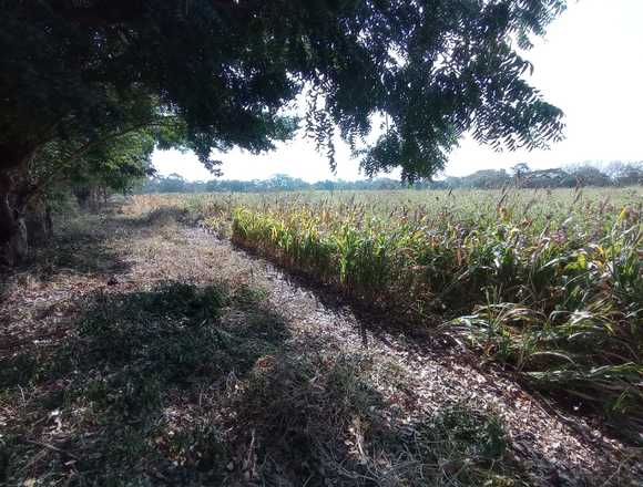 #Forsale||Venta 10mz en San joaquin-Nindiri en Nindirí (Municipio)