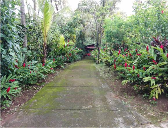 VENTA FINCA RUSTICA EN NANDASMO-MASAYA. en Nandasmo (Municipio)