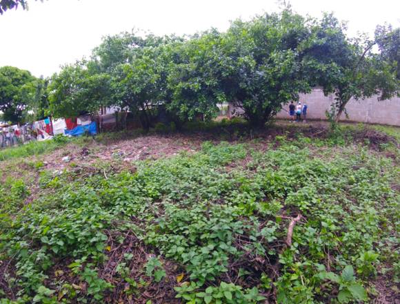 Forsale||VENTA DE TERRENO EN NINDIRI-MASAYA.