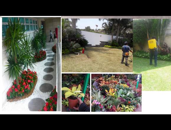 JARDINERO provinciano a precios cómodos en La Molina (Lima 12) (Distrito)