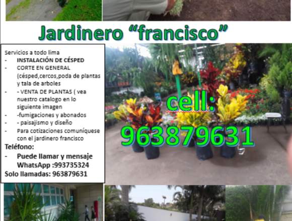 JARDINERO ESPECIALISTA en Lima (Lima 1) (Distrito)