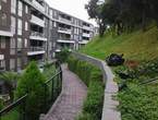 JARDINERO ESPECIALISTA en Lima (Lima 1) (Distrito)