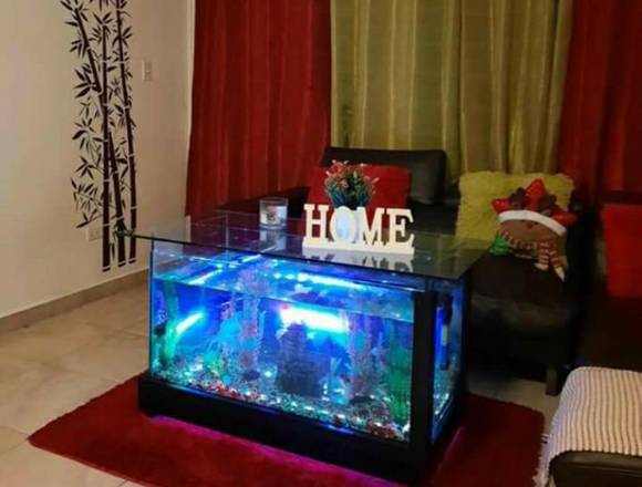 Se vende peceras a su gusto y estilo