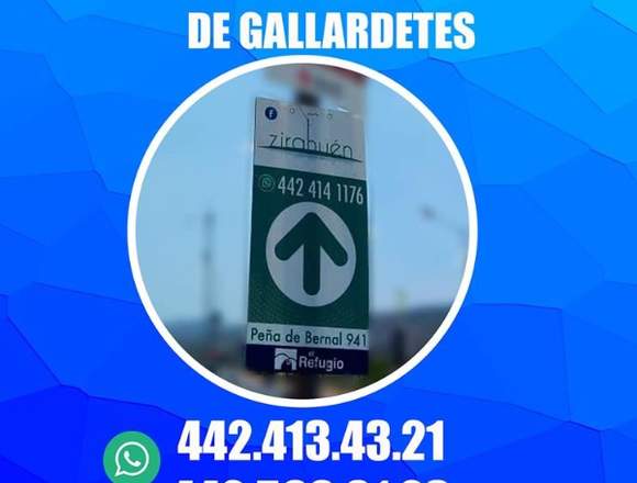 Impresion e instalacion de Gallaretes en Querétaro (Municipio)
