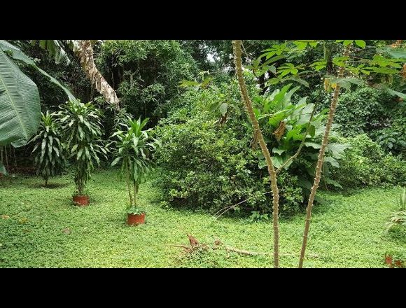19-4328 AF A la venta terreno en Carrasquilla en Panamá (Distrito)