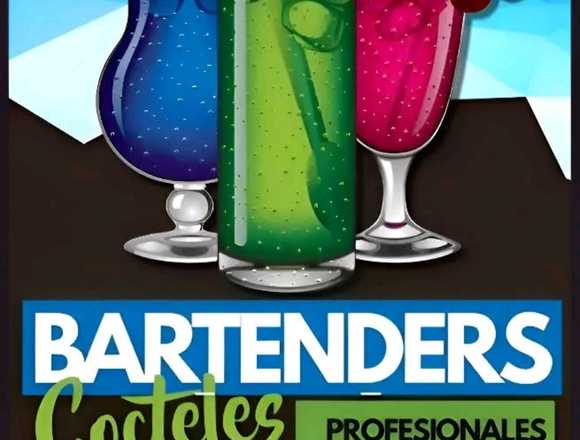 Bartender y barras libres para eventos privados. en Cuauhtémoc (Municipio)