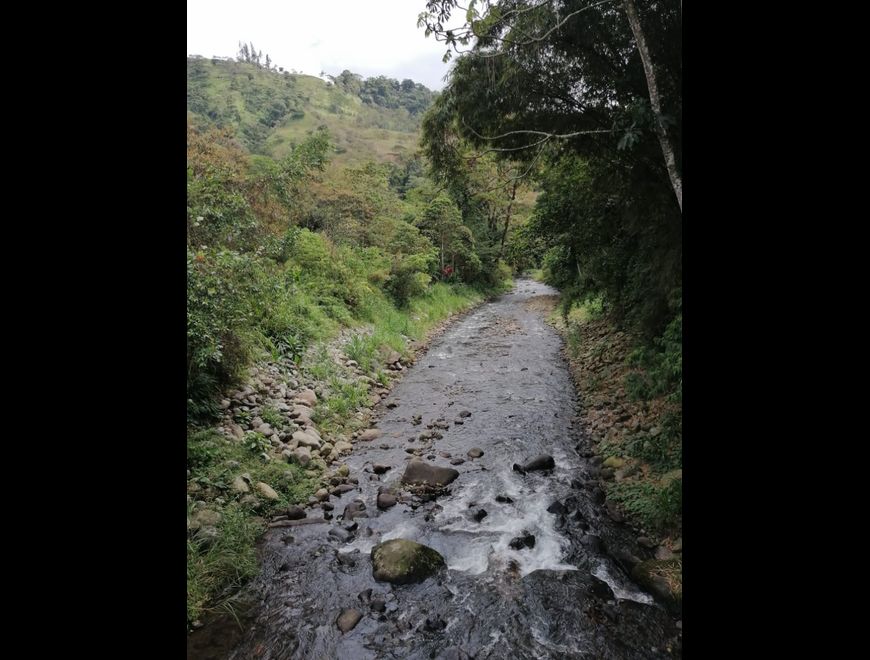 🏡❗ Invierte seguro en Platanillo de Turrialba❗🏡