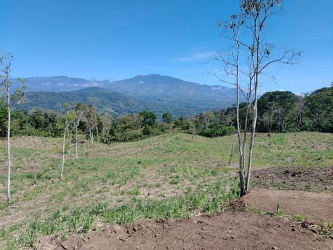 SE VENDEN QUINTAS Y LOTES EN PAVONES, TURRIALBA