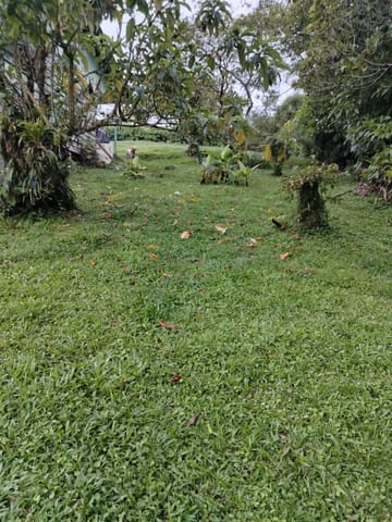 SE VENDE PRECIOSA PROPIEDAD EN SANTA CRUZ DE TURRIALBA en Turrialba (Cantón)
