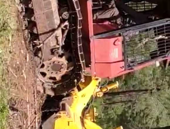 Desbroces y triturados forestales en Ciudad Real (Municipio)