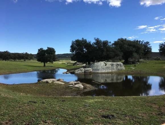 Oportunidad de inversion en San Diego County en Tijuana (Municipio)