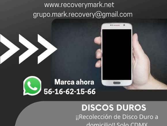 DATOS RECUPERADOS AL 100% en Benito Juárez (Municipio)