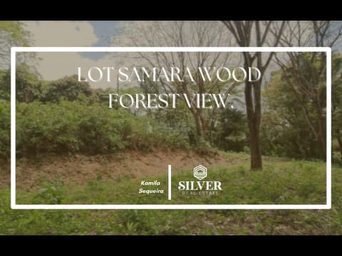 Lot Samara Wood Forest View