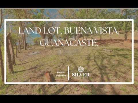 Land Lot Samara, Buena Vista