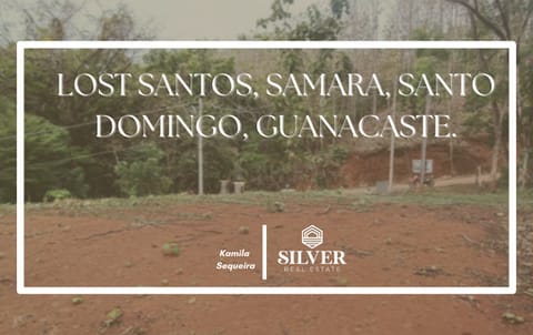 Lot Santos, Samara Santo Domingo en Nicoya (Cantón)