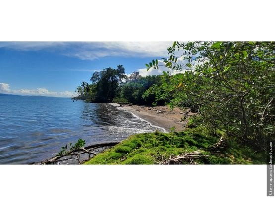 Finca de 17.6 Hectáreas Frente al Golfo Dulce en la Península de Osa