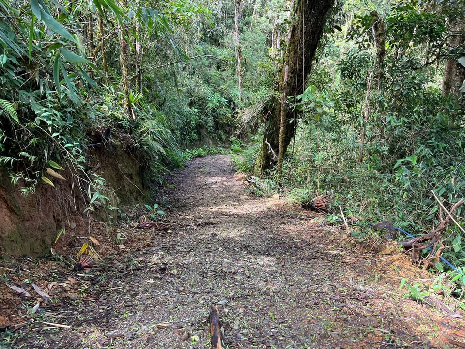 Terreno en Pérez Zeledón: 1.5 Hectareas de Naturaleza en Cerro Paragua en Pérez Zeledón (Cantón)
