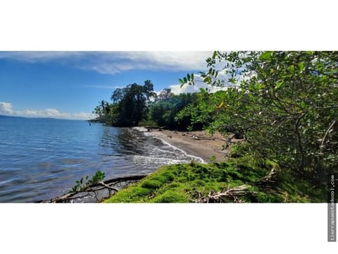 Finca de 17.6 Hectáreas Frente al Golfo Dulce en la Península de Osa