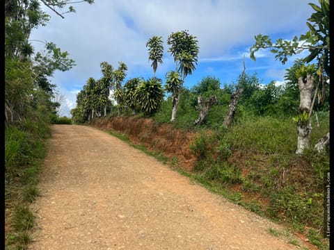 HERMOSO LOTE 546M2 CON ESPECTULAR VISTA 360*
