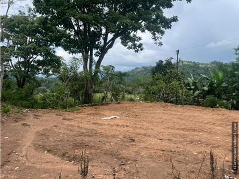 LOTE EN VENTA 235M2 A 30 MINUTOS DEL CENTRO DE PEREZ ZELEDON
