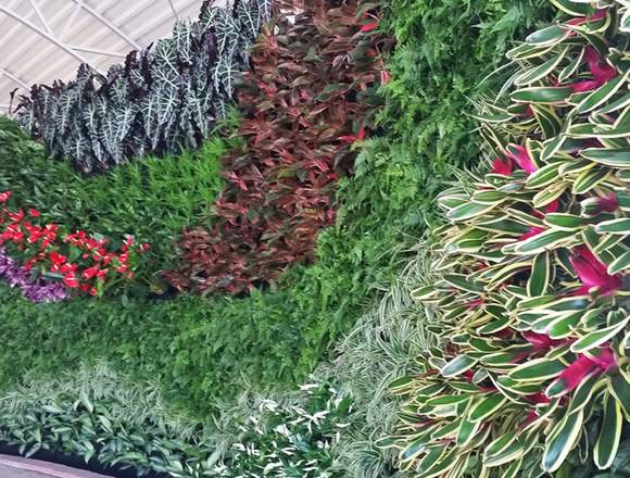 jardines verticales al mejor precio del mercado