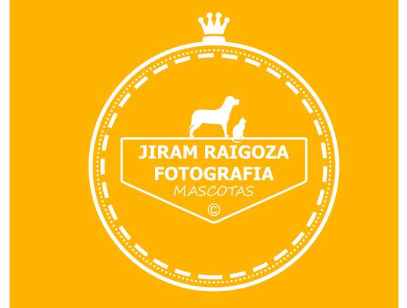 Mini Sesiones fotográficas para tus mascotas en Mexicali (Municipio)