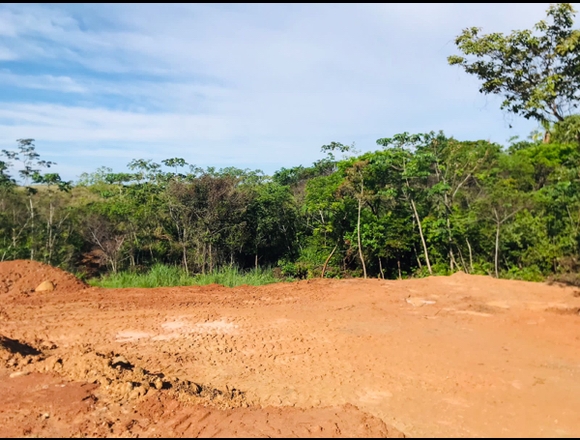 Vendo Lote en San Carlos en San Carlos (Distrito)