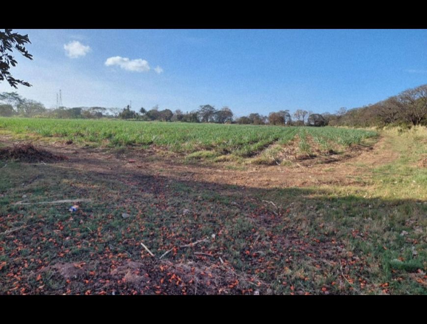 Venta o alquiler de fincas planas aprox 2200ha