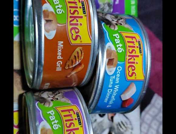 comida para perrito y gatitos en Olocuilta (Municipio)