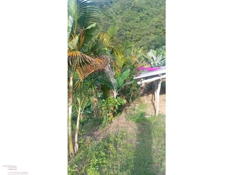 FINCA LOTE EN VENTA - SECTOR COMBIA ALTA, CERCA DE MINAS DEL SOCORRO