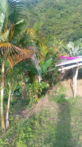 FINCA LOTE EN VENTA - SECTOR COMBIA ALTA, CERCA DE MINAS DEL SOCORRO en Pereira (Municipio)