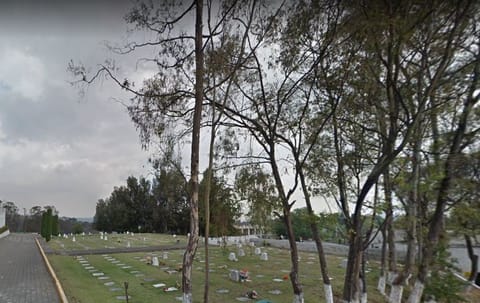 Cuádruple servicios Los Cipreses Jardín Cedros JARM en Naucalpan de Juárez (Municipio)