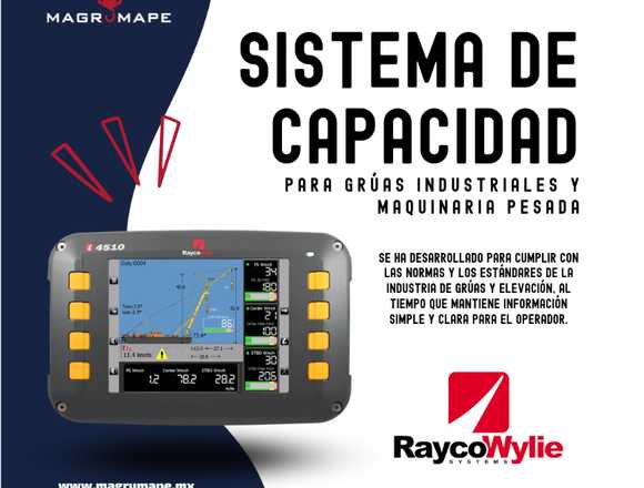 SISTEMA DE CAPACIDAD RaycoWylie en Puebla (Municipio)