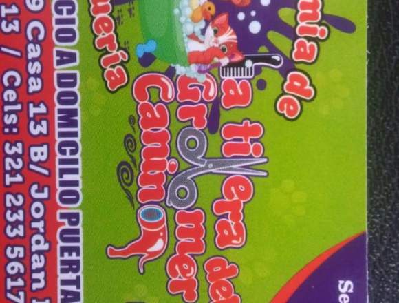 solicito Groomer Canino en Barinas (Municipio)
