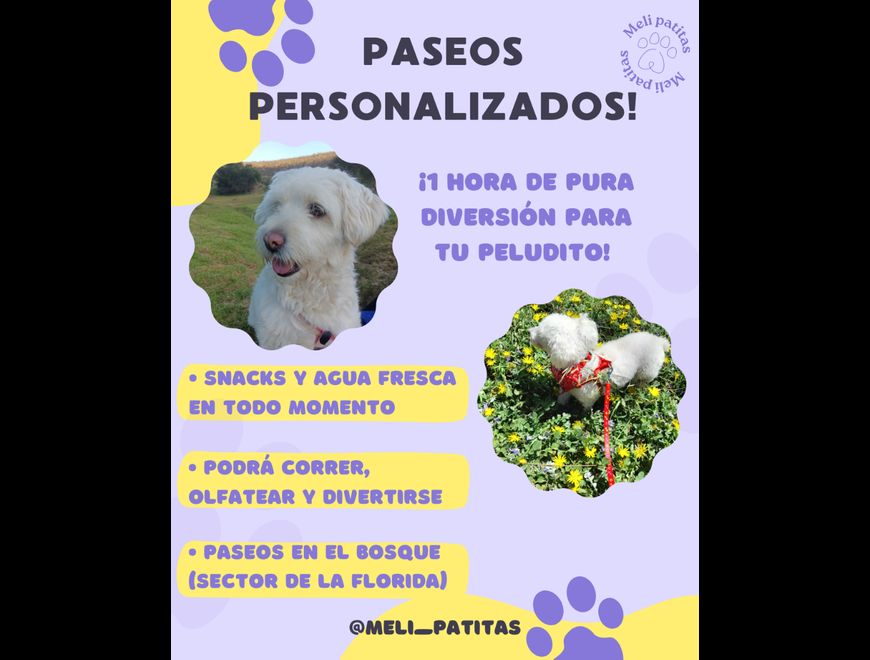 Paseos y cuidados a domicilio para mascotas 😺🐶 en La Serena (Comuna)