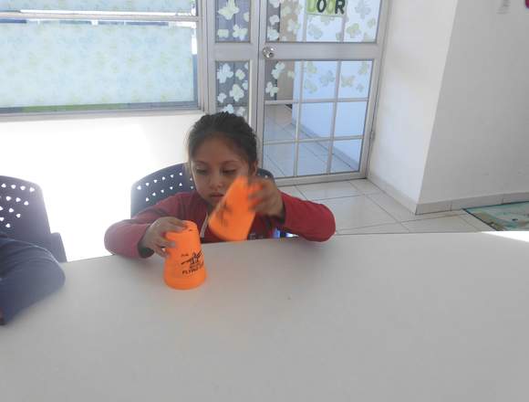 PROGRAMA DESARROLLO MENTAL PARA NIÑOS en Pichincha (Cantón)